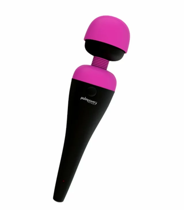 Masażer - PalmPower Recharge Wand Massager