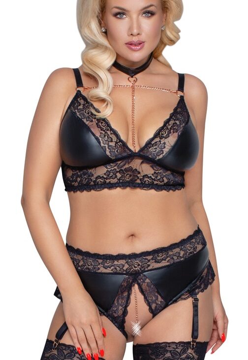 Bra and Suspender Briefs XL