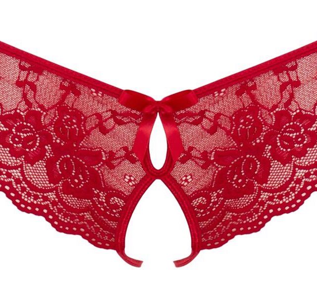 Lace Briefs Crotchless S