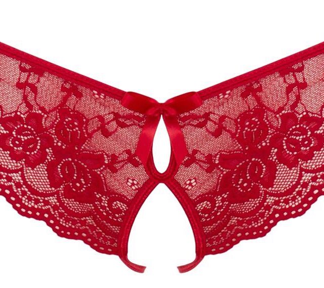 Lace Briefs Crotchless L