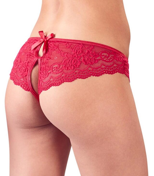 Lace Briefs Crotchless L