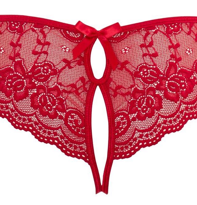 Lace Briefs Crotchless L