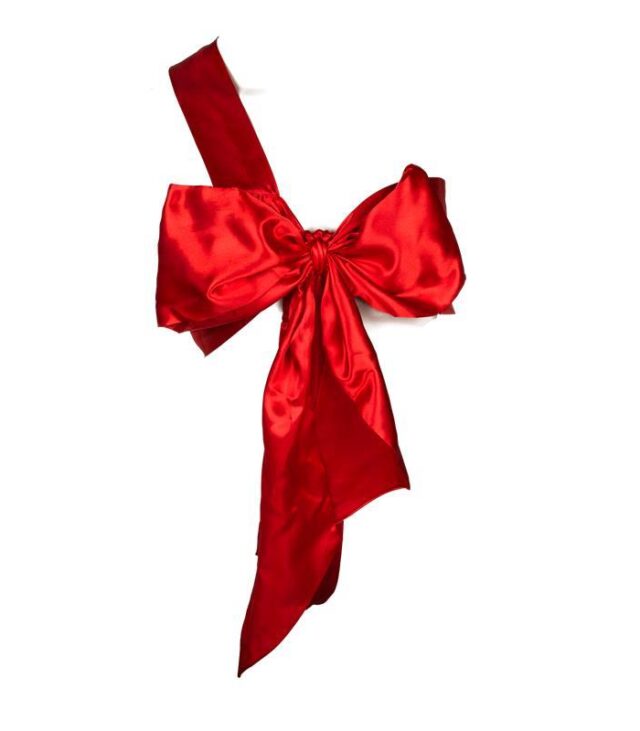 Red sexy costume bow Naughty Knot